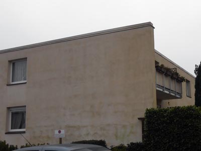 Fassade mit Algenbefall auf WDVS in Nienburg